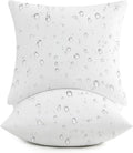 2 Pack Paisley Multi 16x16 Outdoor Throw Pillows With Inserts