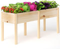 Elevated Wooden Divided Garden Bed