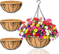 Metal Hanging Baskets With Coco Liner