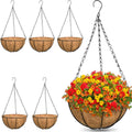 6 Pack Metal Hanging Baskets Coconut Liners