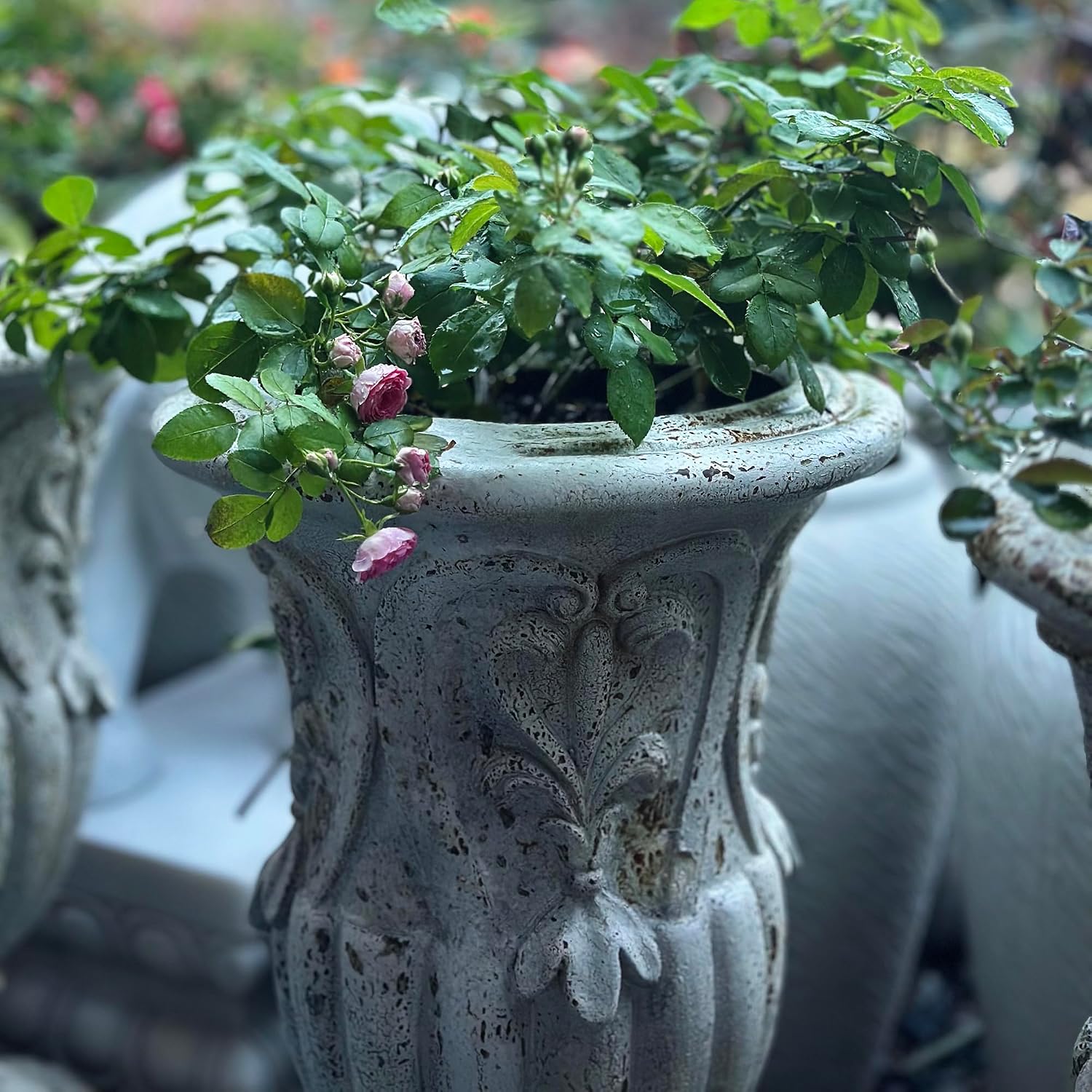 Vintage European Cement Fiber Garden Urn Planter