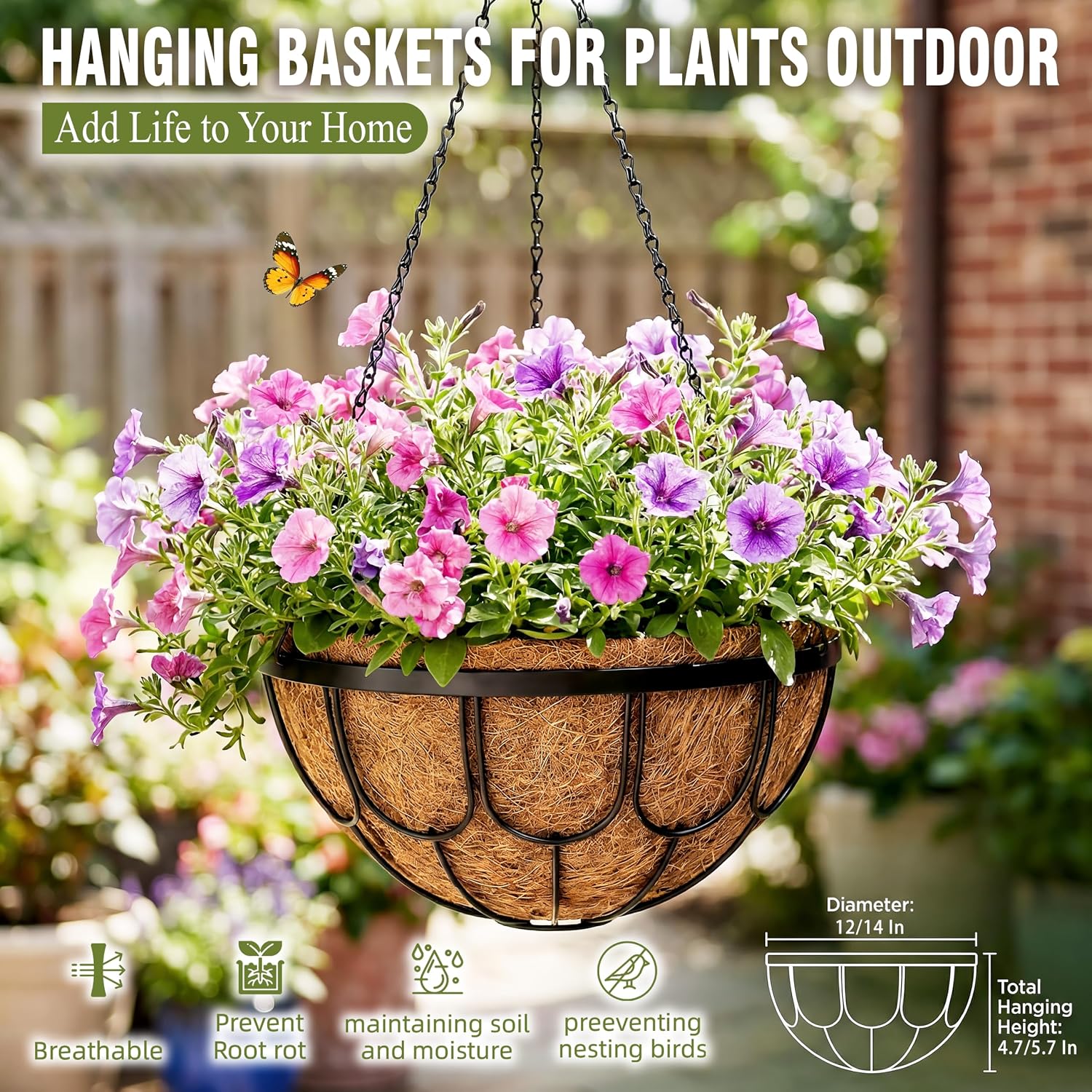 Metal Wire Hanging Planters Coco Liner