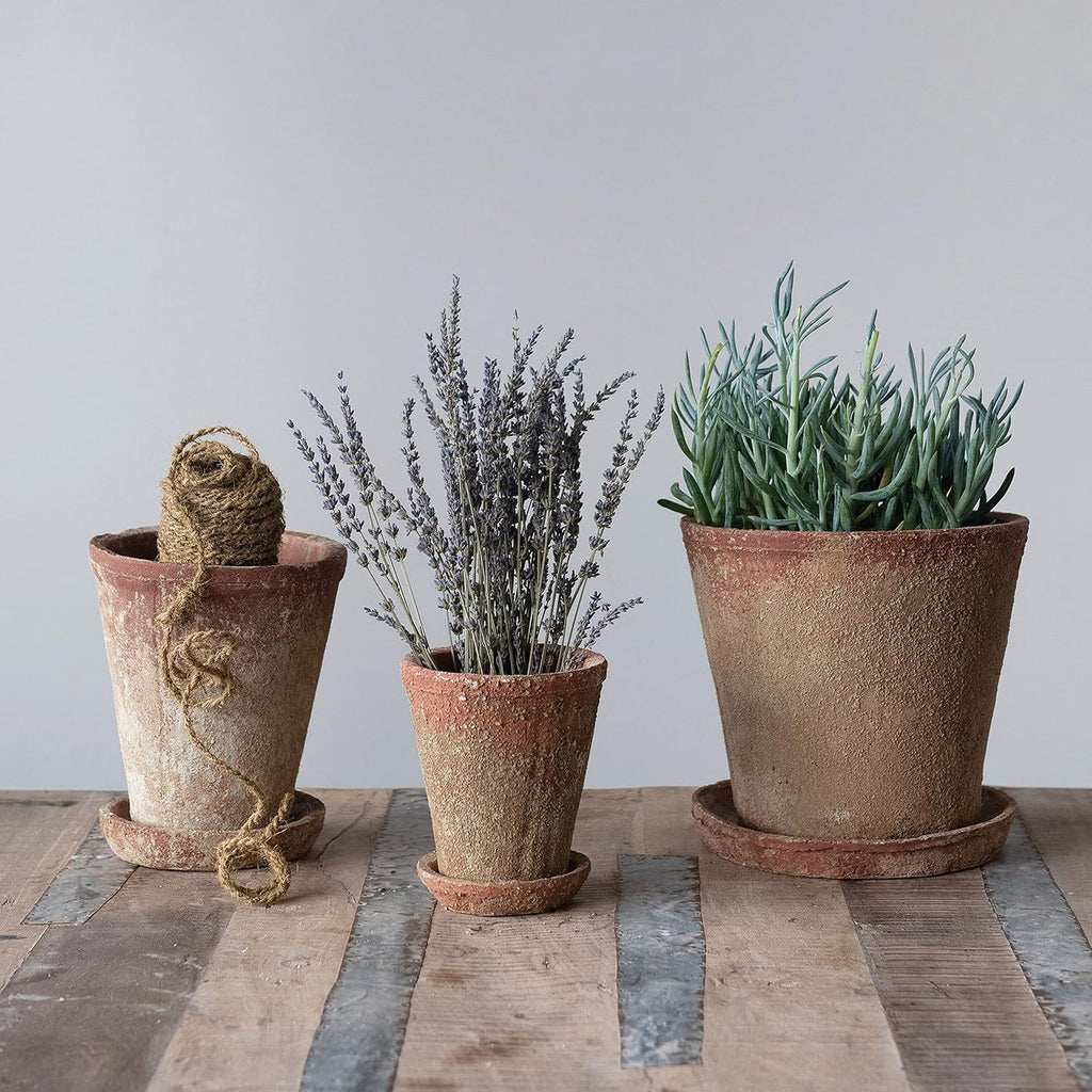 Cement Terra-Cotta Planter With Saucer
