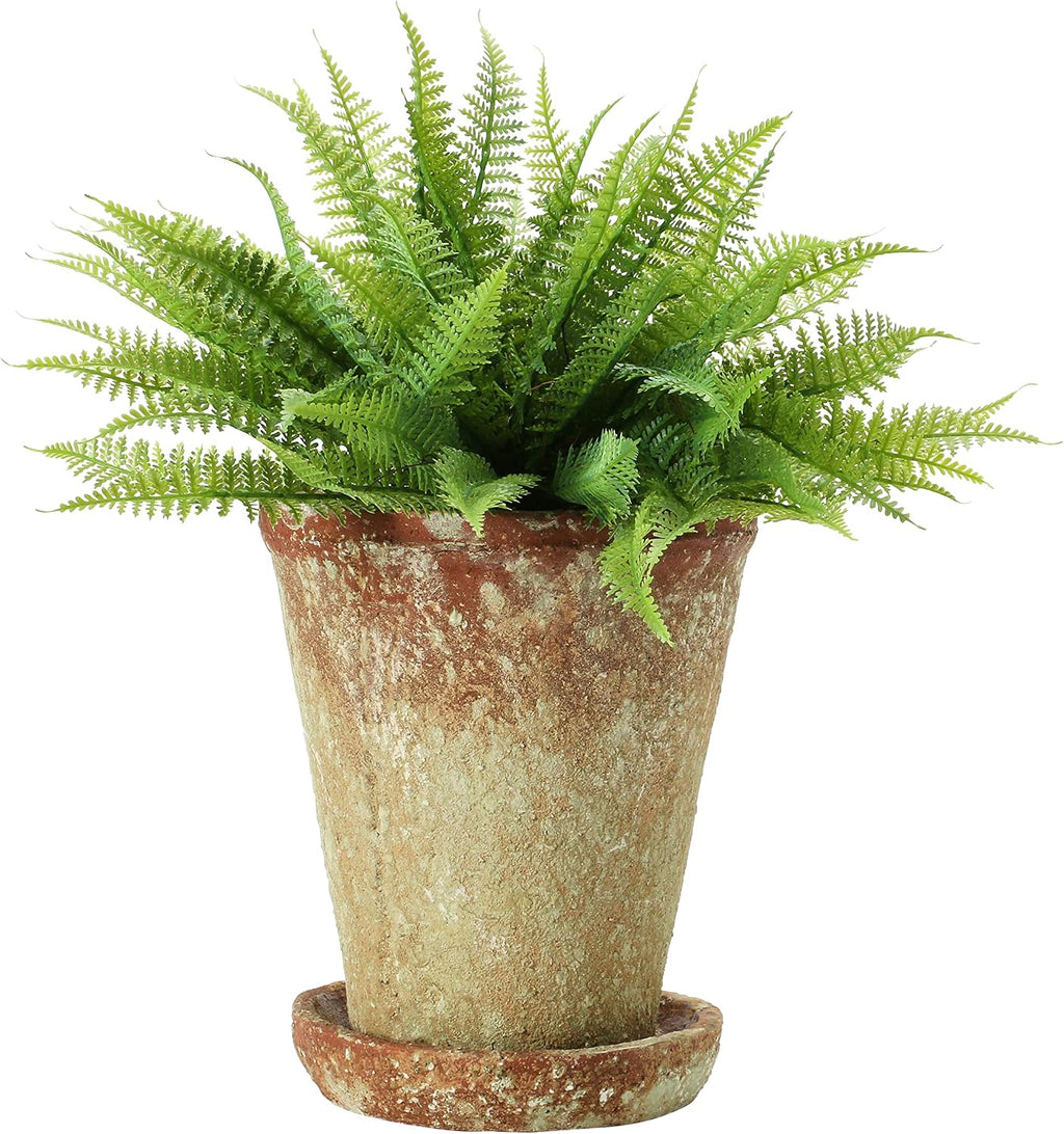 Cement Terra-Cotta Planter With Saucer