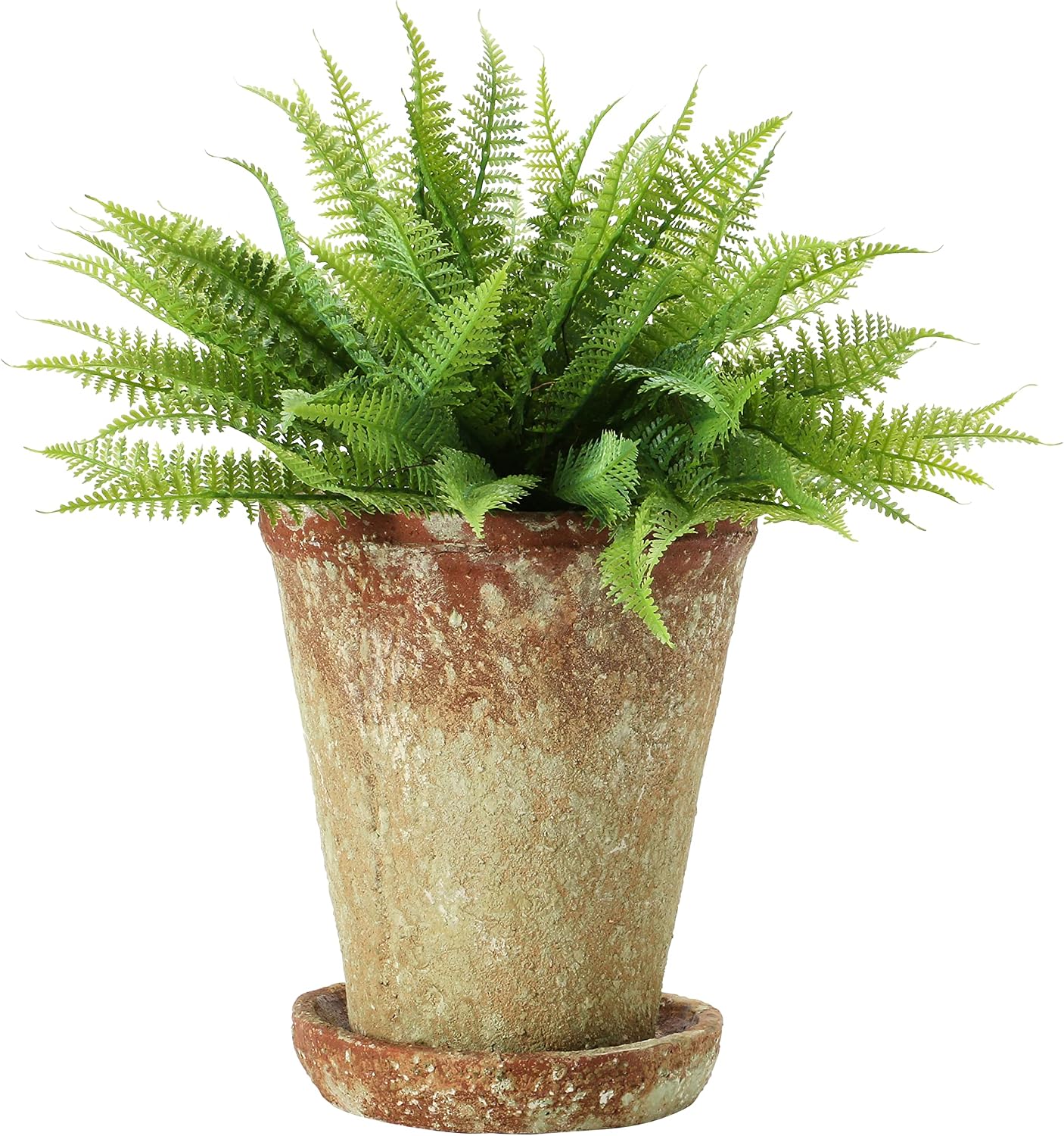 Cement Terra-Cotta Planter With Saucer
